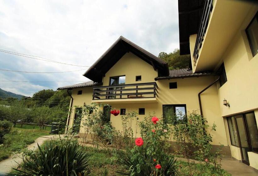 Pensiunea Ciobanelu
