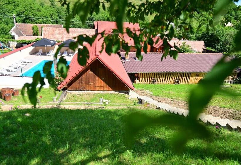 Pensiunea Darian & David