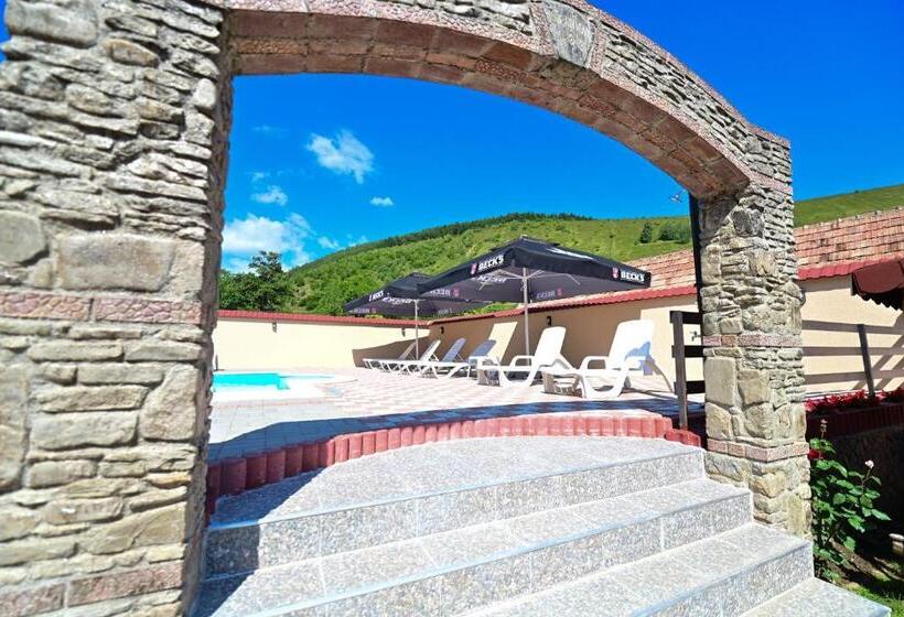 Pensiunea Darian & David