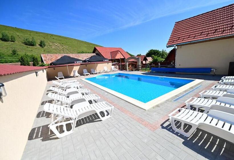 Pensiunea Darian & David