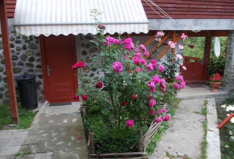 Pensiunea Poiana Soarelui