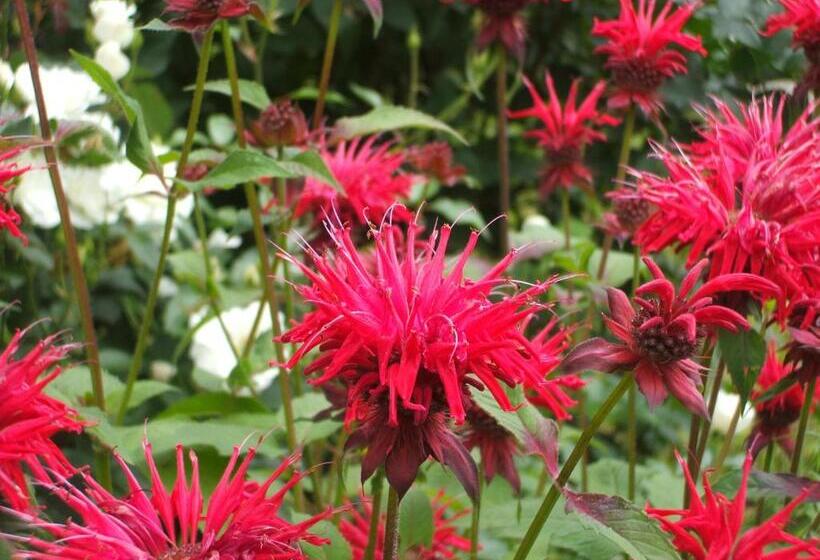 Pensiunea Poiana Soarelui