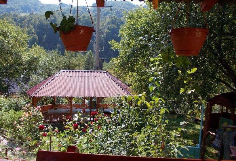 Pensiunea Poiana Soarelui