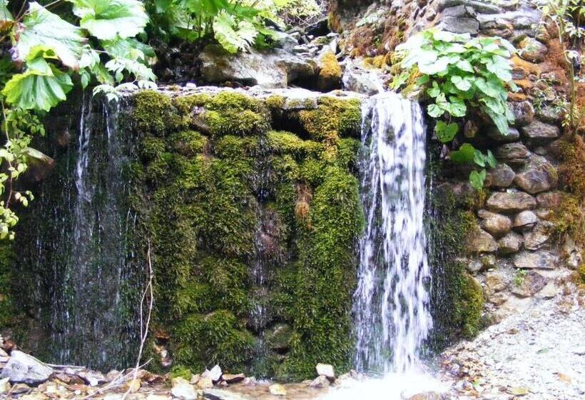 Pensiunea Poiana Soarelui