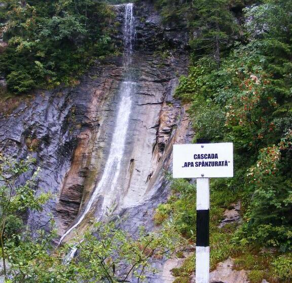 Pensiunea Poiana Soarelui