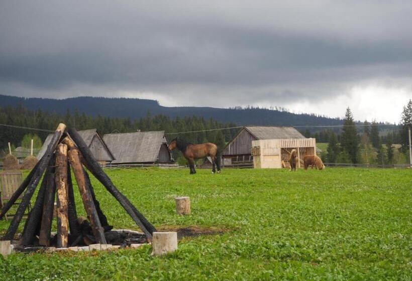 Pensiunea Smida Park