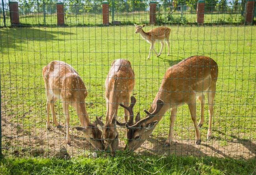 منتجع Shepilska Relax Complex