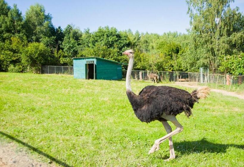 منتجع Shepilska Relax Complex