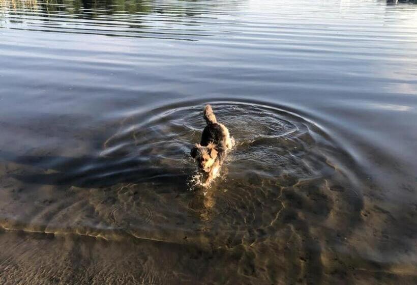 Stf Vandrarhem Blentarp