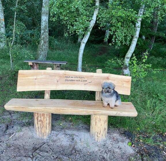 Stf Vandrarhem Blentarp