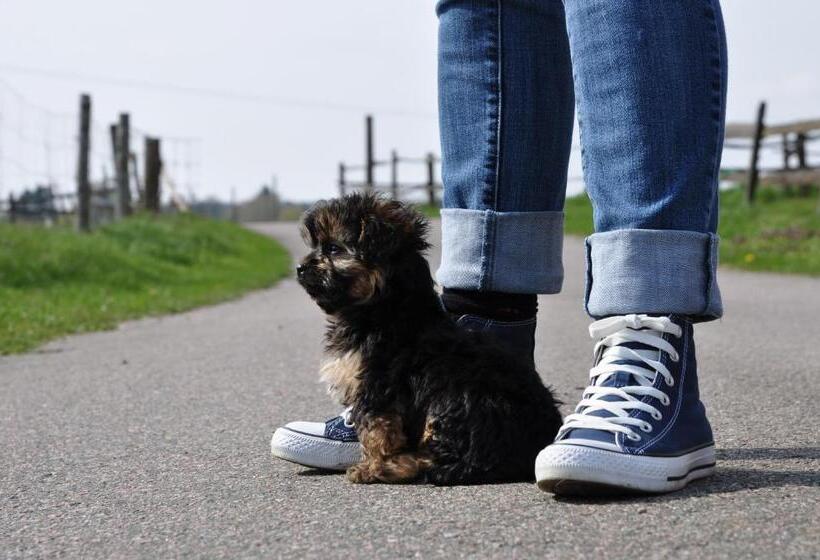 Stf Vandrarhem Blentarp