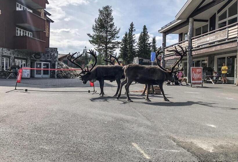 Vemdalsskalets Högfjällshotell & Lägenheter