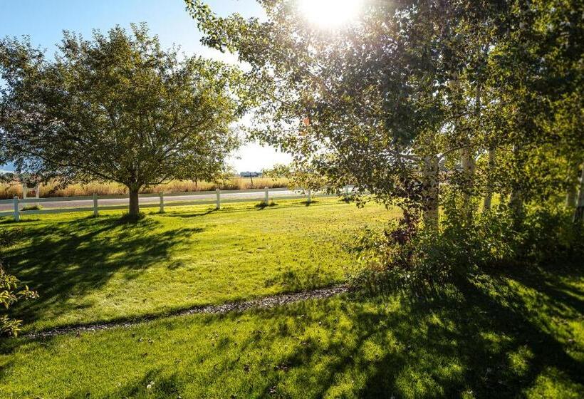 تختخواب و صبحانه Fox Hollow Inn