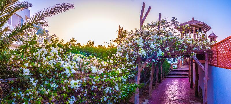 Pickalbatros Golf Beach Resort