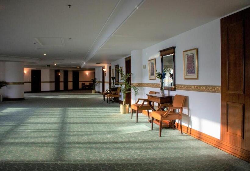 فندق Abha Palace