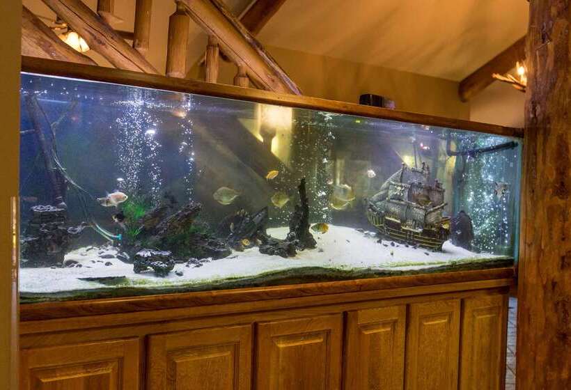 فندق Americinn By Wyndham Pequot Lakes/jenkins