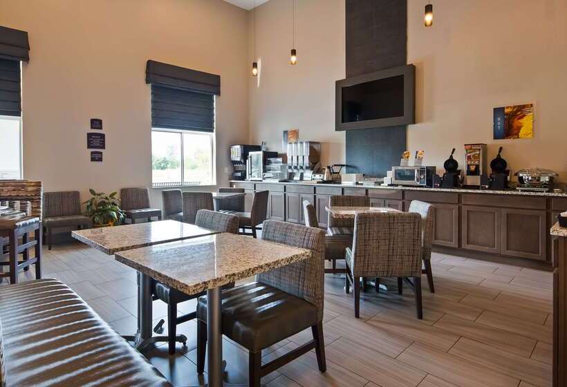 Отель Best Western Plus Flint Airport Inn & Suites