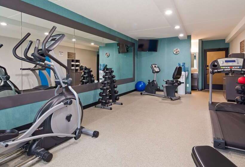 Отель Best Western Plus Flint Airport Inn & Suites