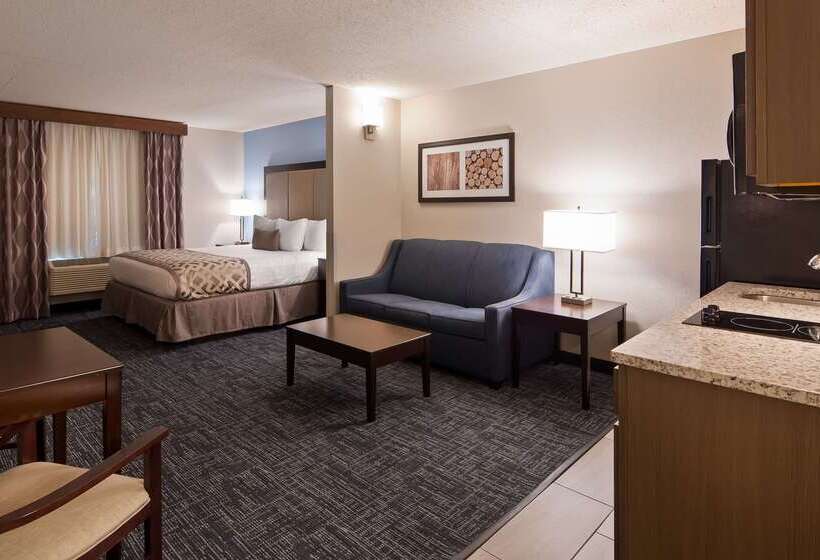 Отель Best Western Plus Flint Airport Inn & Suites