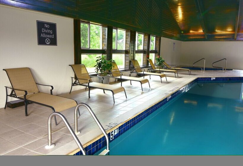 Отель Best Western Plus Flint Airport Inn & Suites