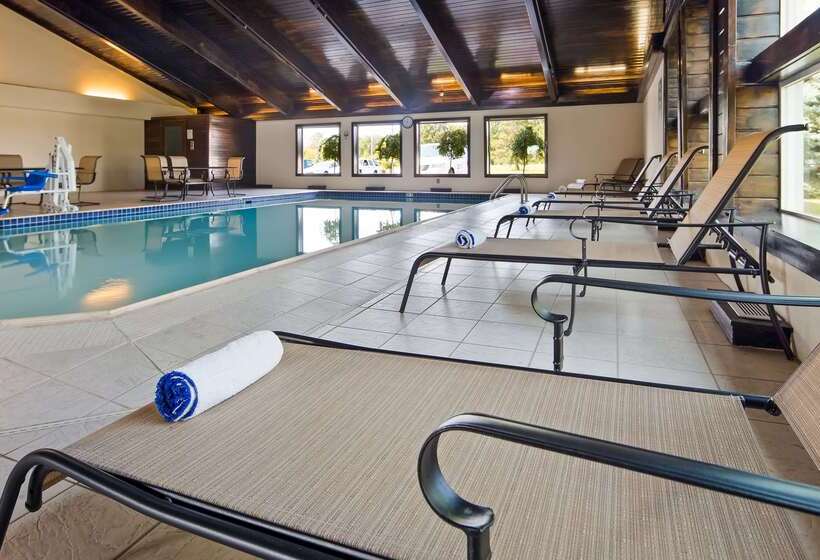 Отель Best Western Plus Flint Airport Inn & Suites