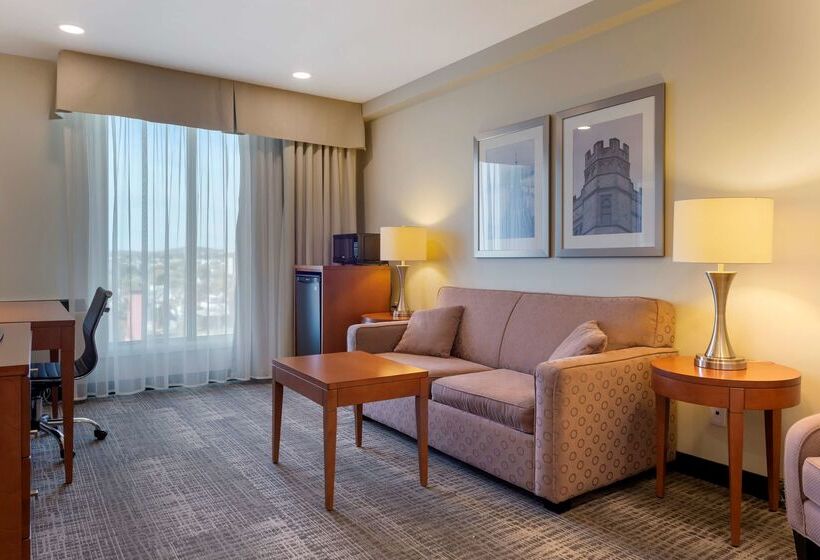 בית מלון כפרי Best Western Plus Gatineauottawa Downtown