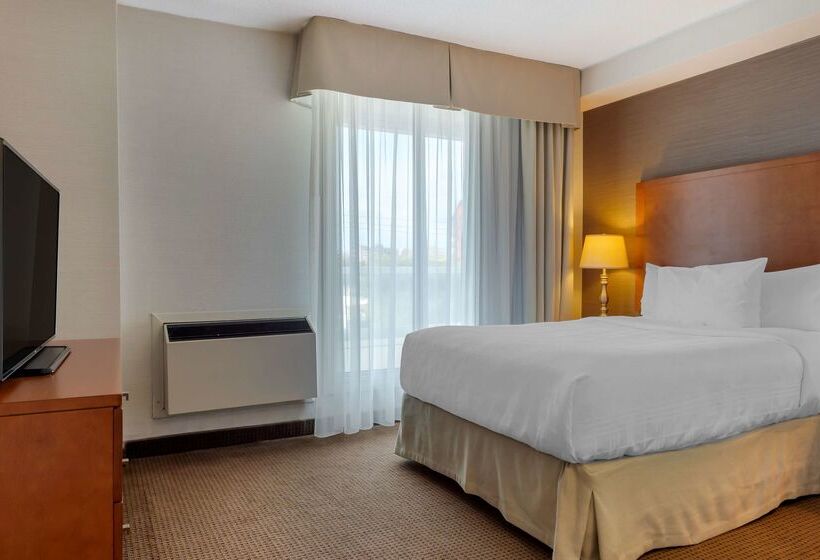 בית מלון כפרי Best Western Plus Gatineauottawa Downtown