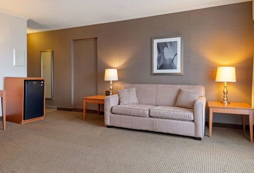 בית מלון כפרי Best Western Plus Gatineauottawa Downtown