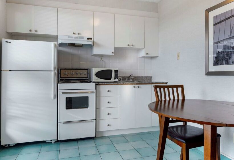 בית מלון כפרי Best Western Plus Gatineauottawa Downtown