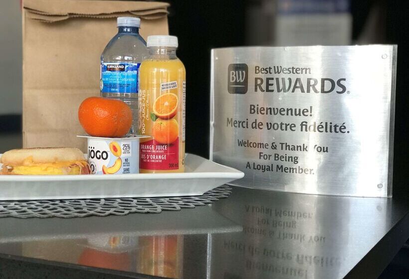 בית מלון כפרי Best Western Plus Gatineauottawa Downtown