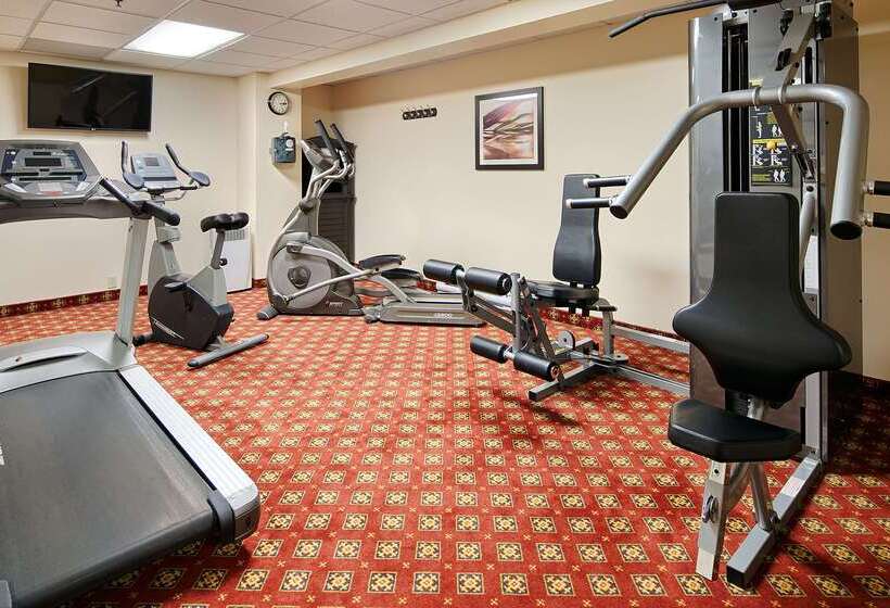 בית מלון כפרי Best Western Plus Gatineauottawa Downtown