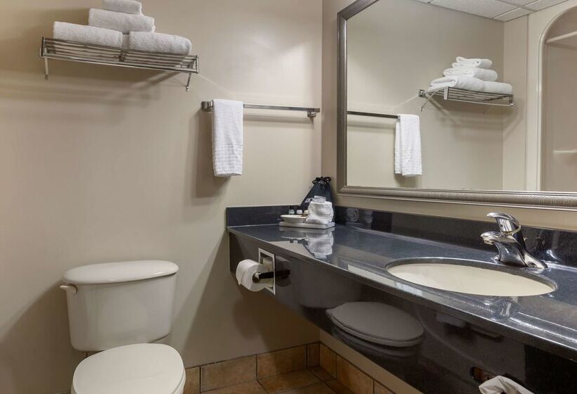 בית מלון כפרי Best Western Plus Orillia