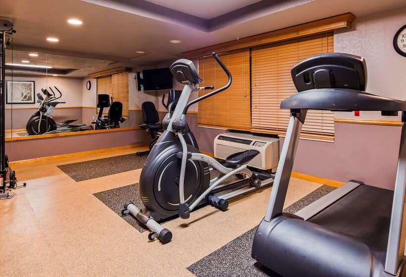 فندق Best Western Plus Sidney Lodge