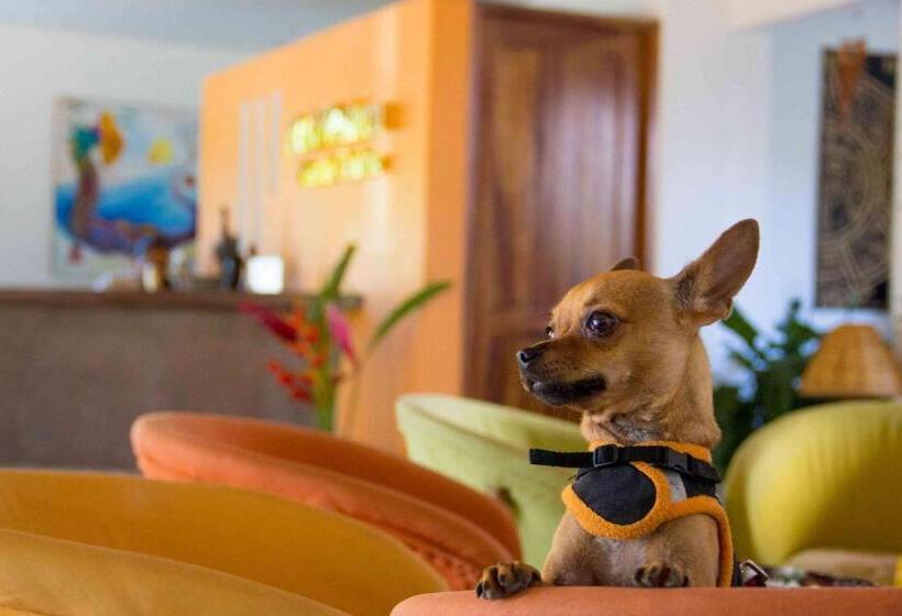 ホテル Best Western Posada Chahue