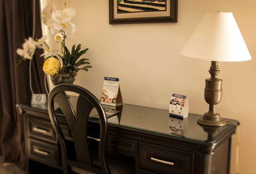 Best Western Hotel Posada Del Rio Express