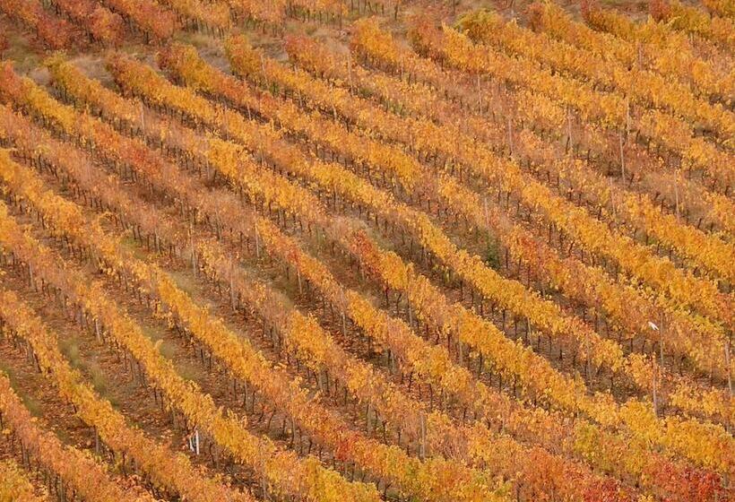 בית מלון כפרי Boutique Raíces