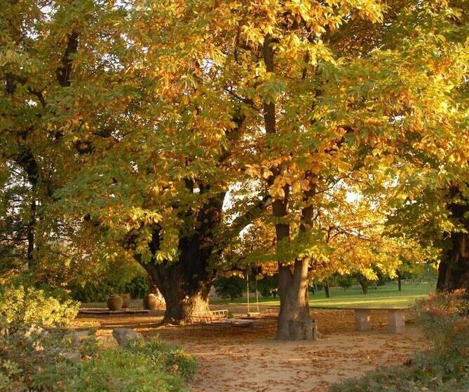 בית מלון כפרי Boutique Raíces