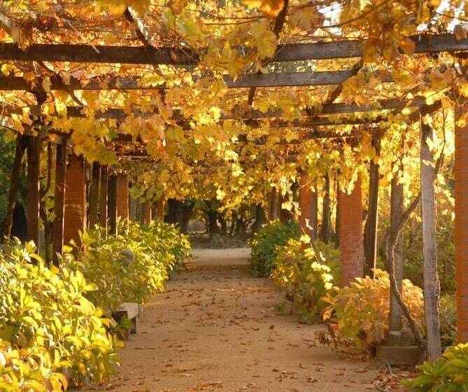 בית מלון כפרי Boutique Raíces