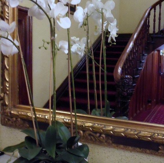 فندق Claremont Guest House