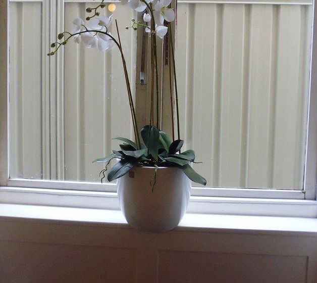 فندق Claremont Guest House