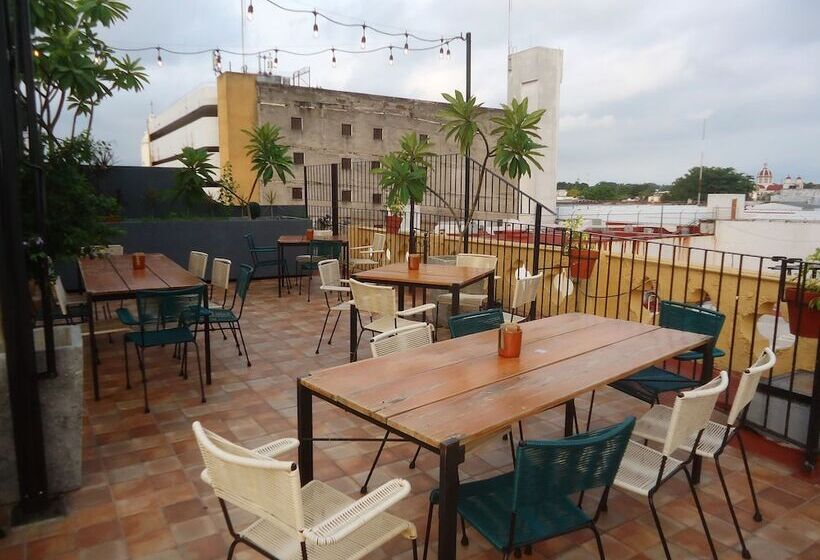 هتل Concierge Plaza Colima