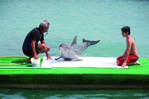 ホテル Decameron Isla Palma