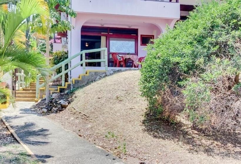 Отель Flamingo Marina Resort