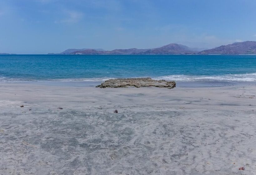 Отель Flamingo Marina Resort