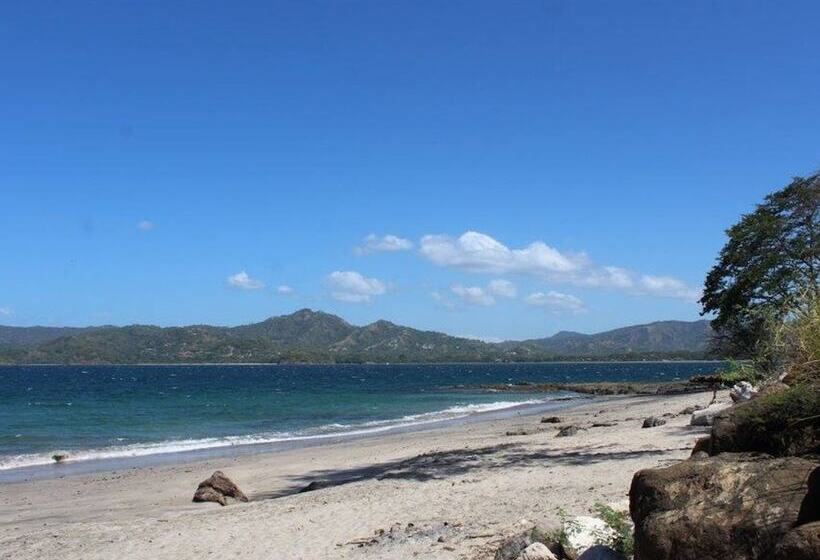 Отель Flamingo Marina Resort