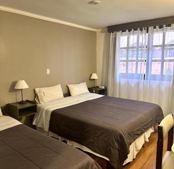 酒店 Hostal Malvinas