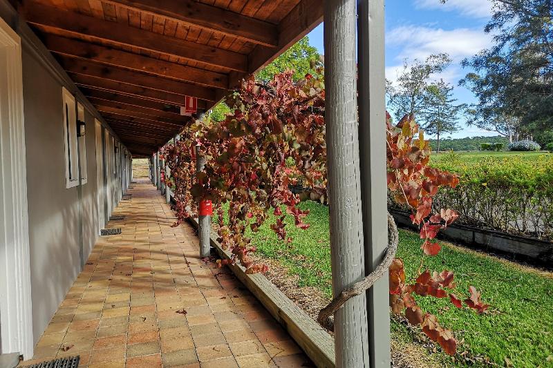 ホテル Hunter Valley Resort, Hunter Farm Adventure Centre & 4 Pines At The Farm