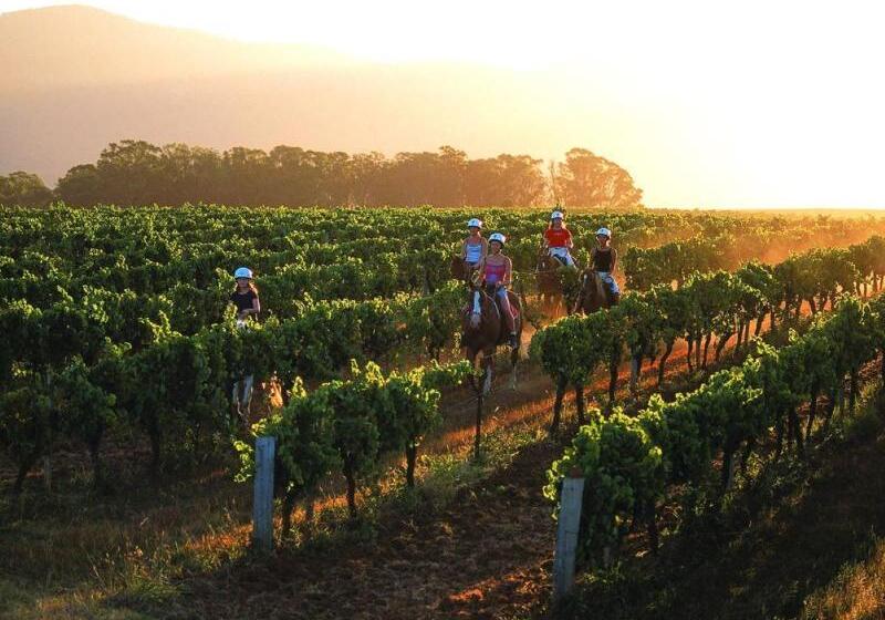 ホテル Hunter Valley Resort, Hunter Farm Adventure Centre & 4 Pines At The Farm