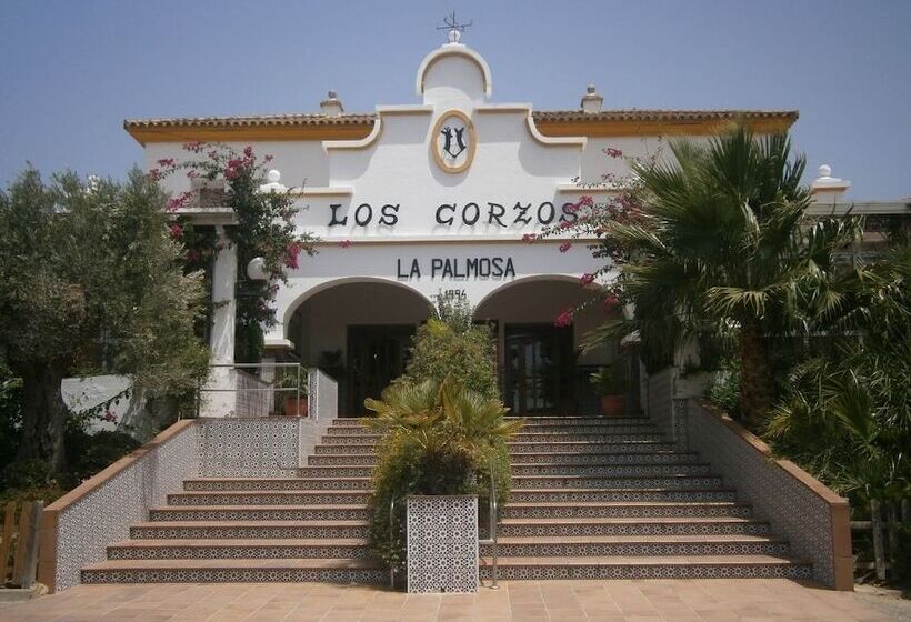 Отель La Palmosa
