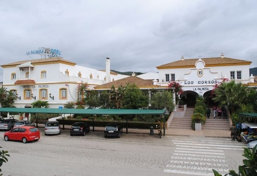 Отель La Palmosa
